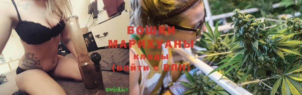 ПСИЛОЦИБИНОВЫЕ ГРИБЫ Магадан