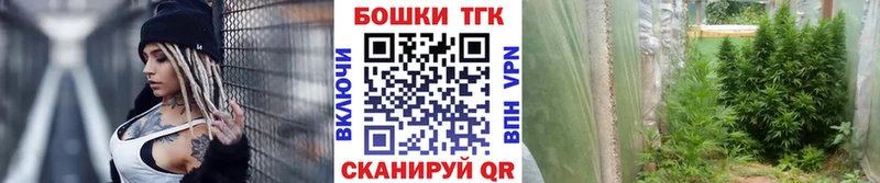 Шишки марихуана марихуана Пролетарск